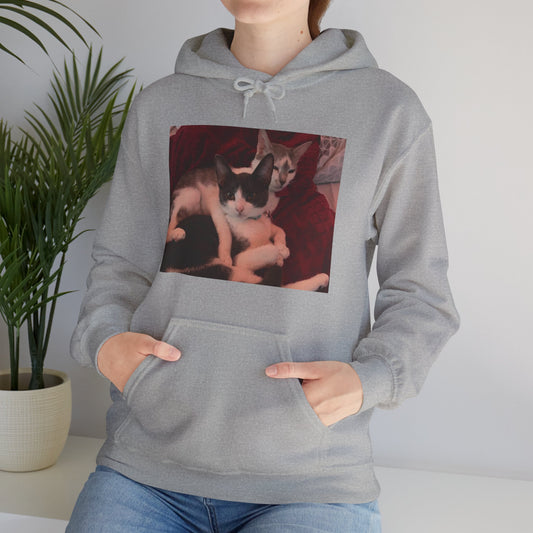 catmom1a Hoodie