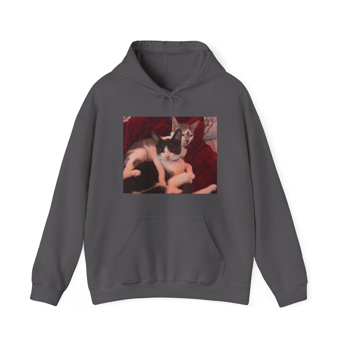 catmom1a Hoodie