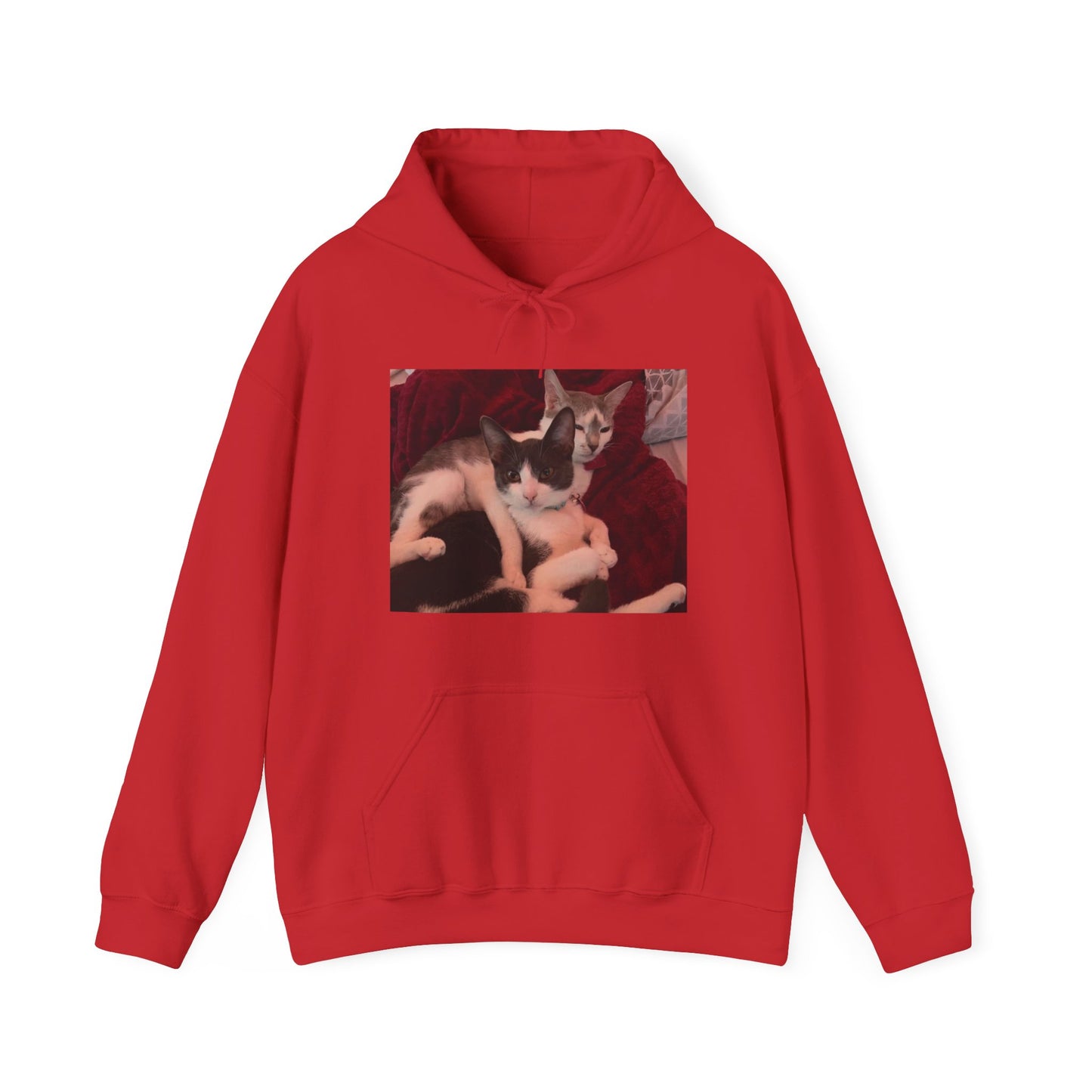 catmom1a Hoodie