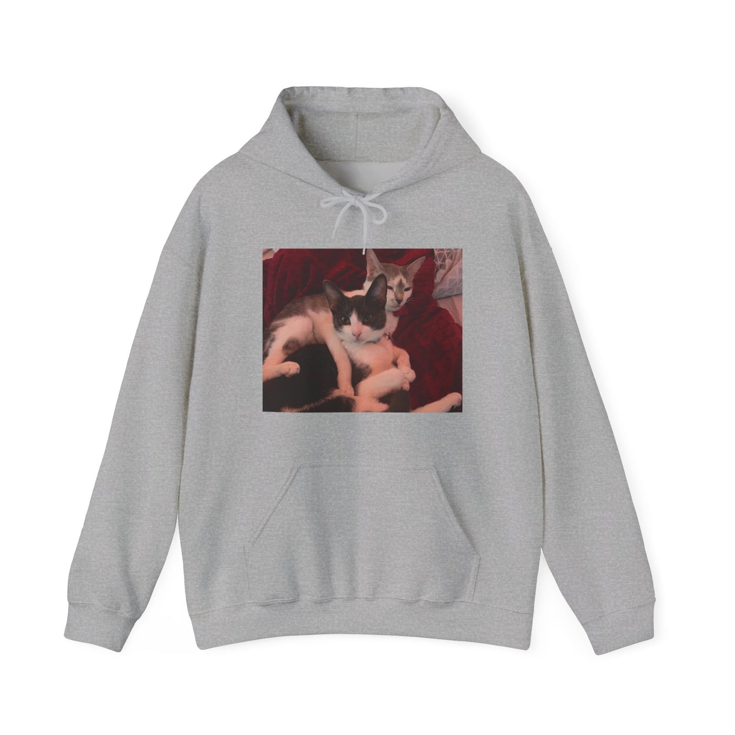 catmom1a Hoodie