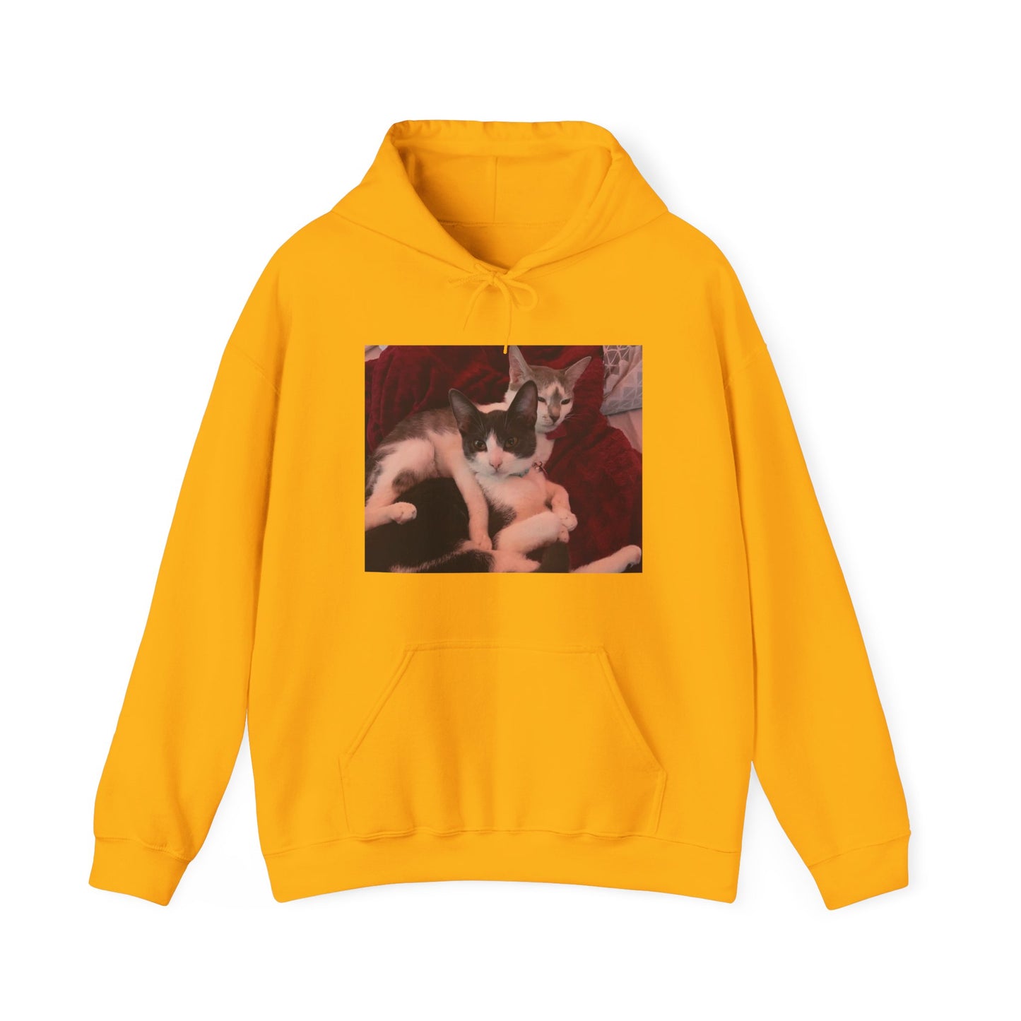 catmom1a Hoodie