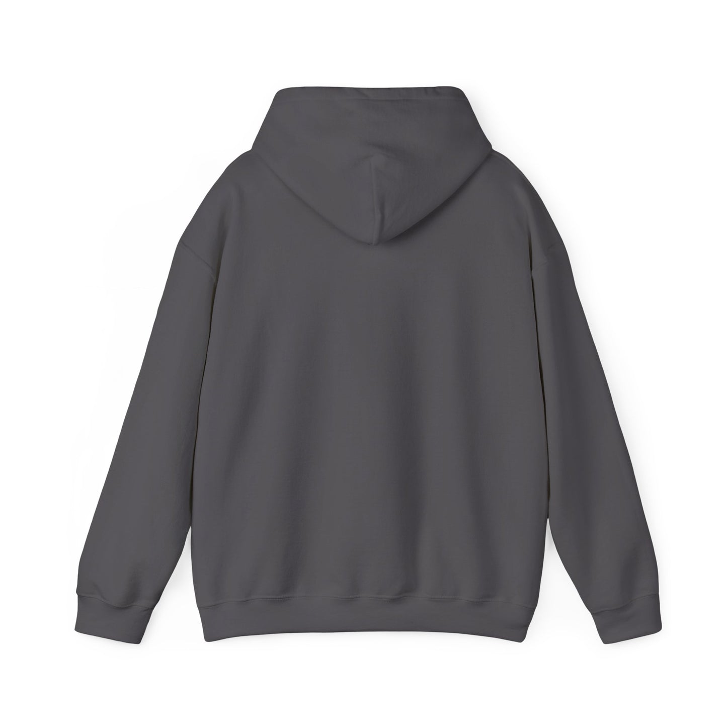 Anime Hoodie 1a
