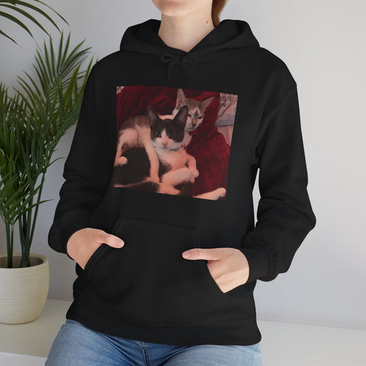 catmom1a Hoodie