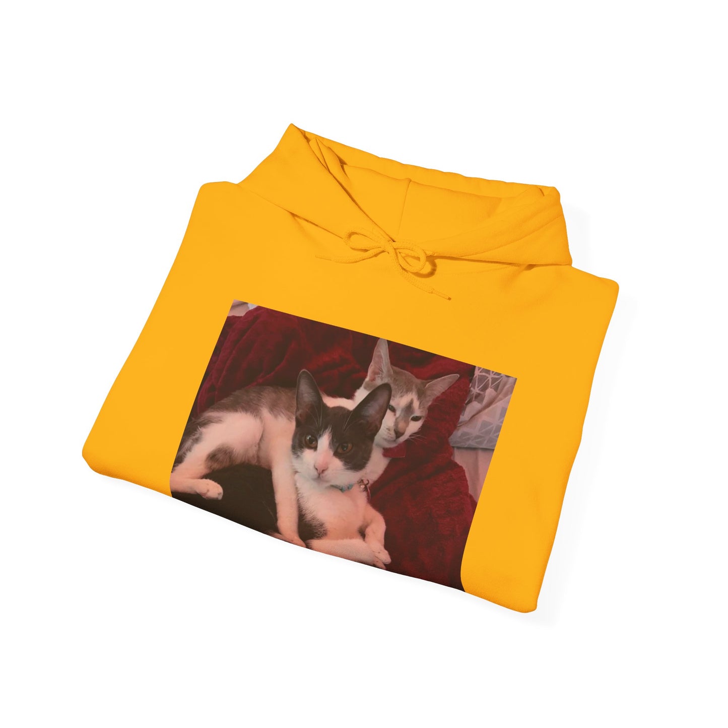 catmom1a Hoodie