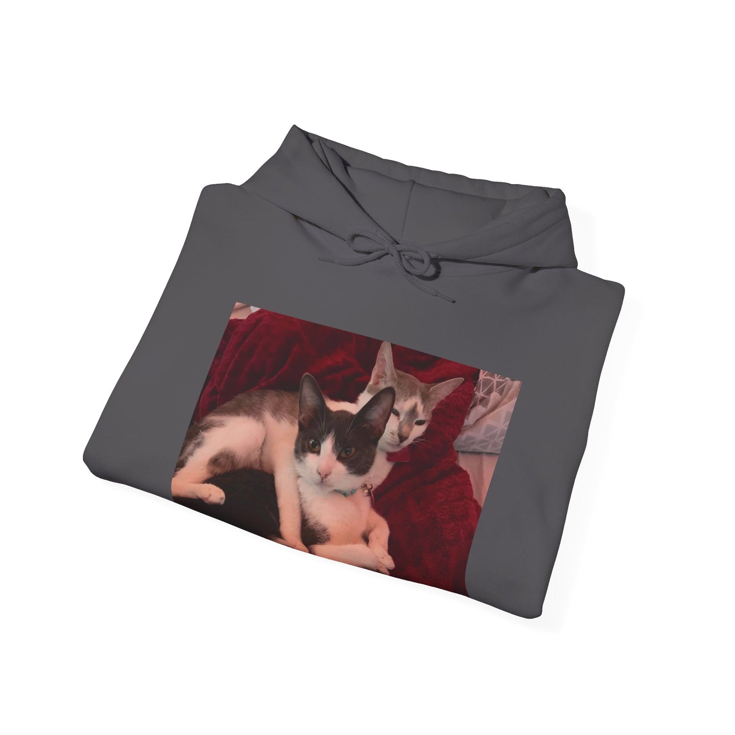 catmom1a Hoodie