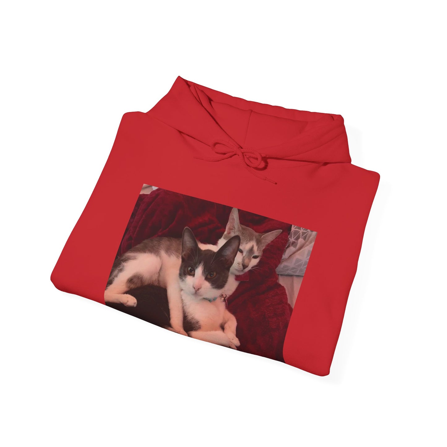 catmom1a Hoodie