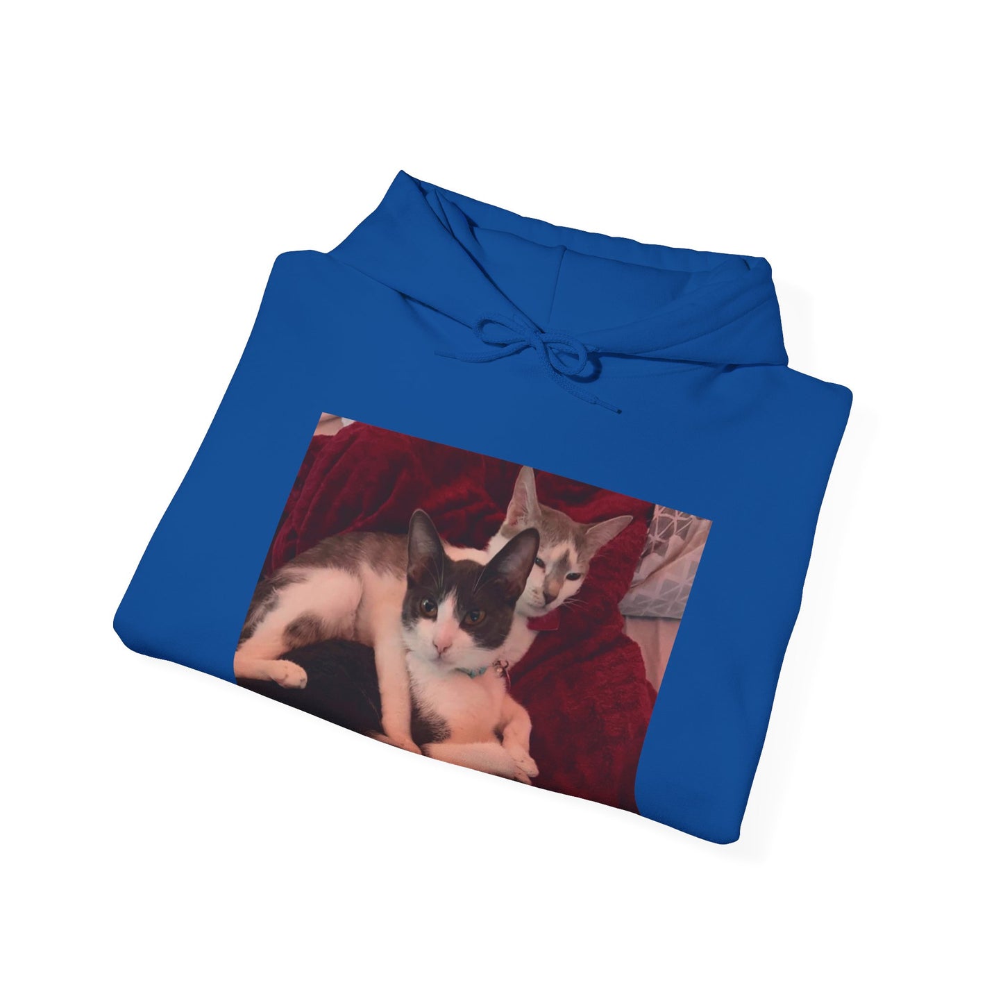 catmom1a Hoodie