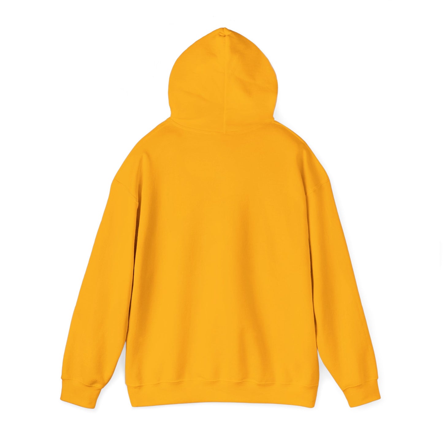 Killua2a Hoodie