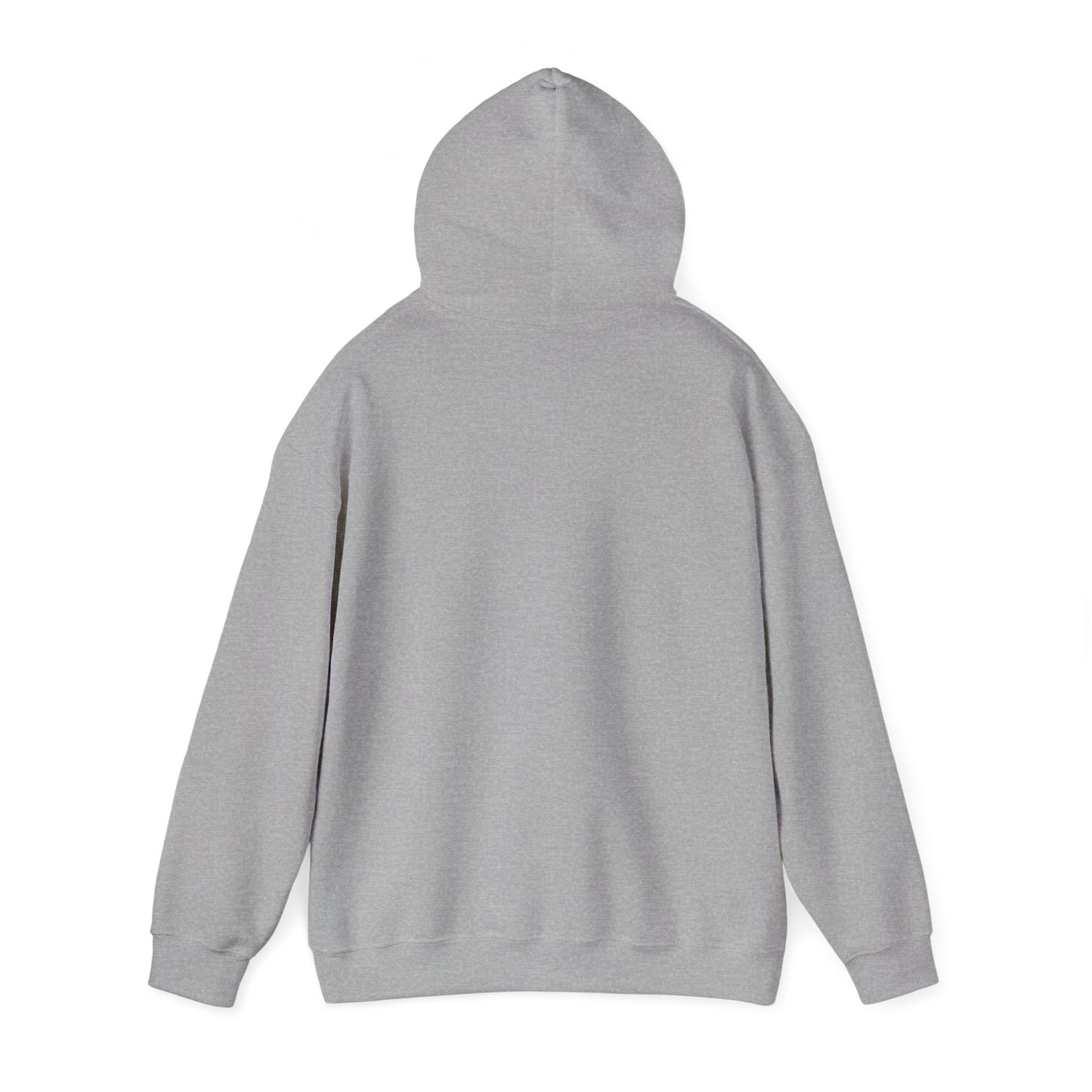 Anime Hoodie 1a