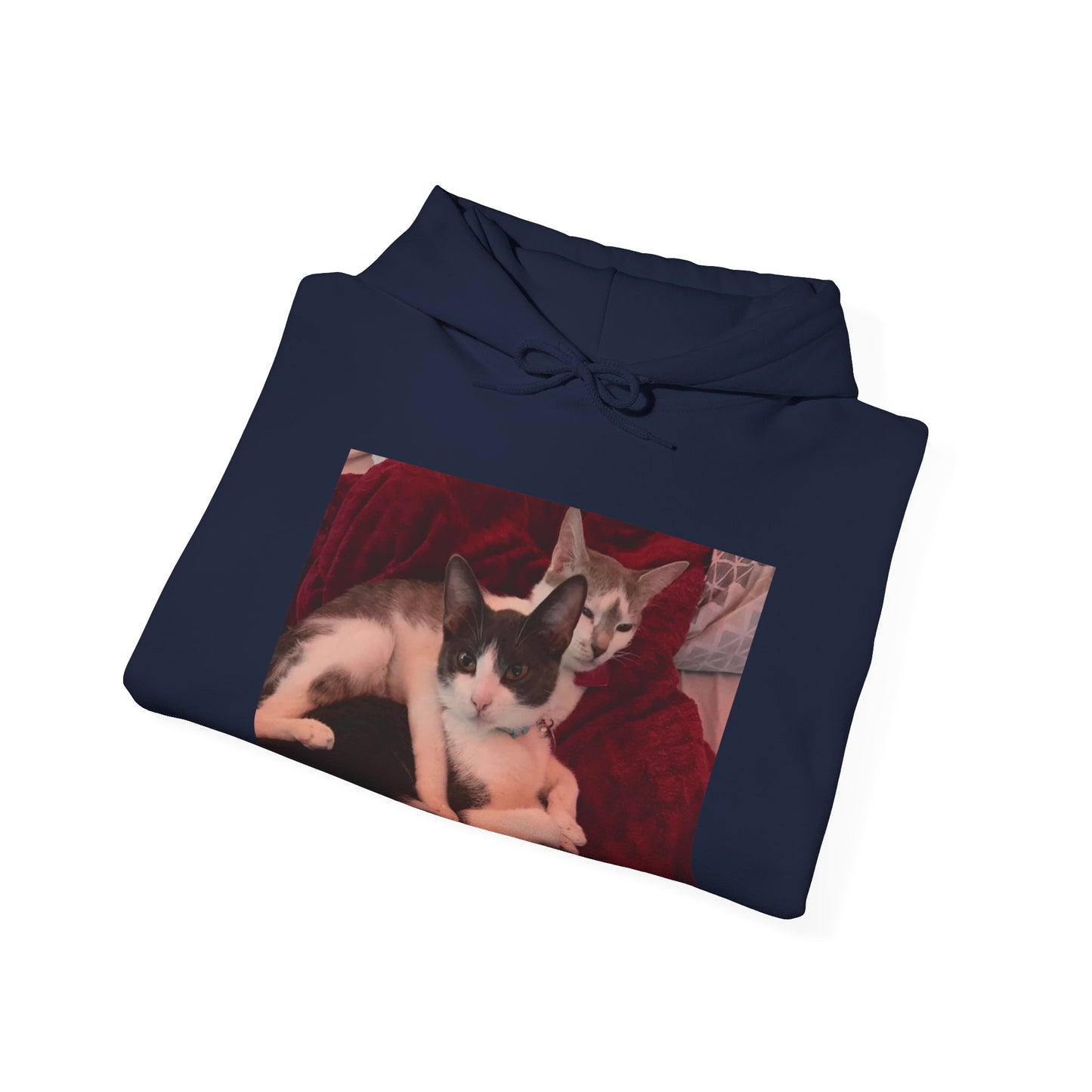 catmom1a Hoodie