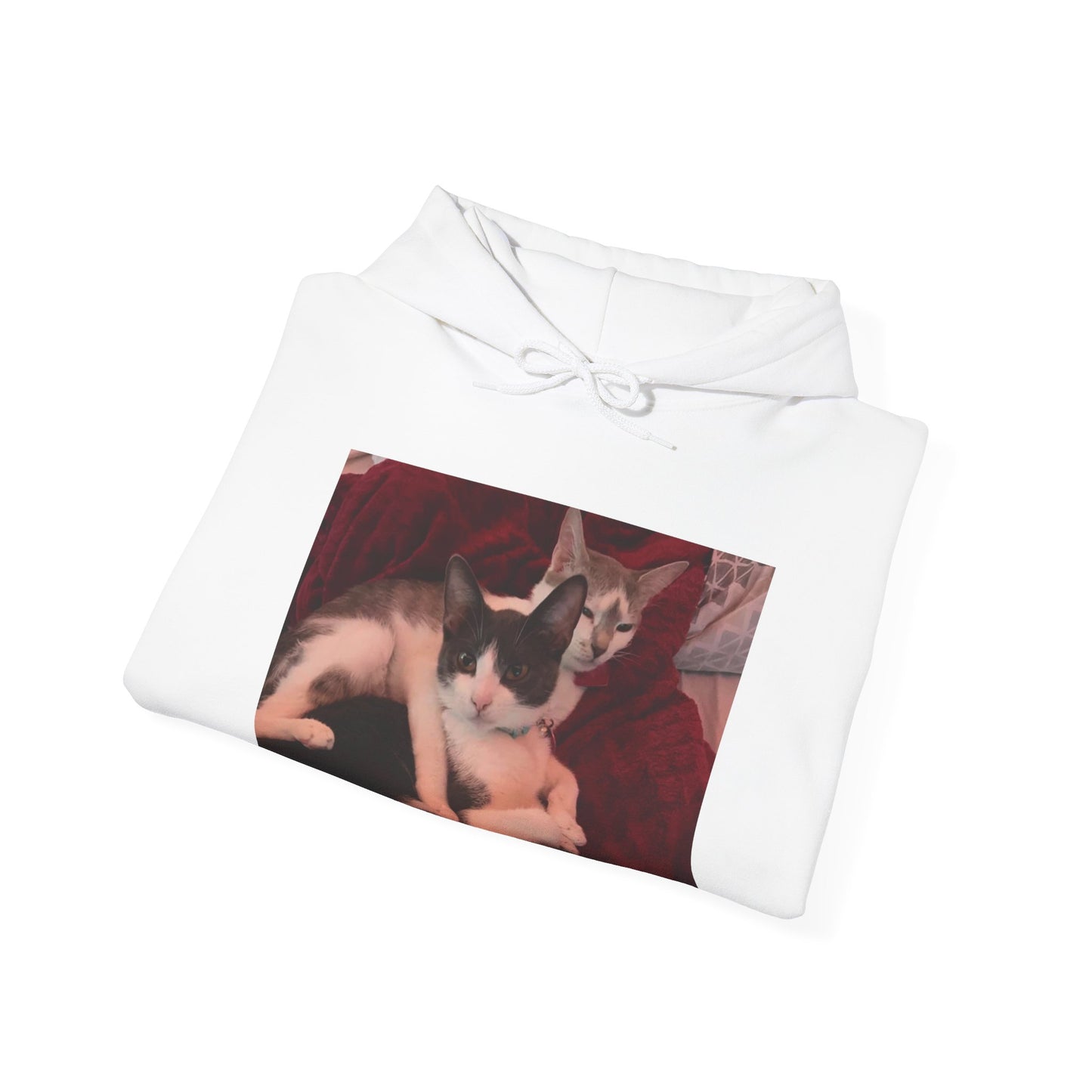 catmom1a Hoodie