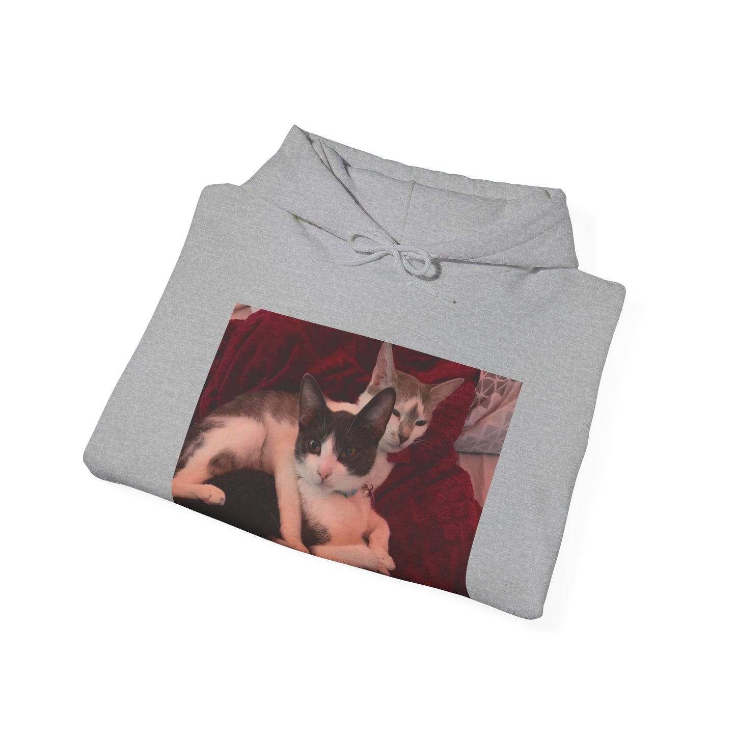 catmom1a Hoodie