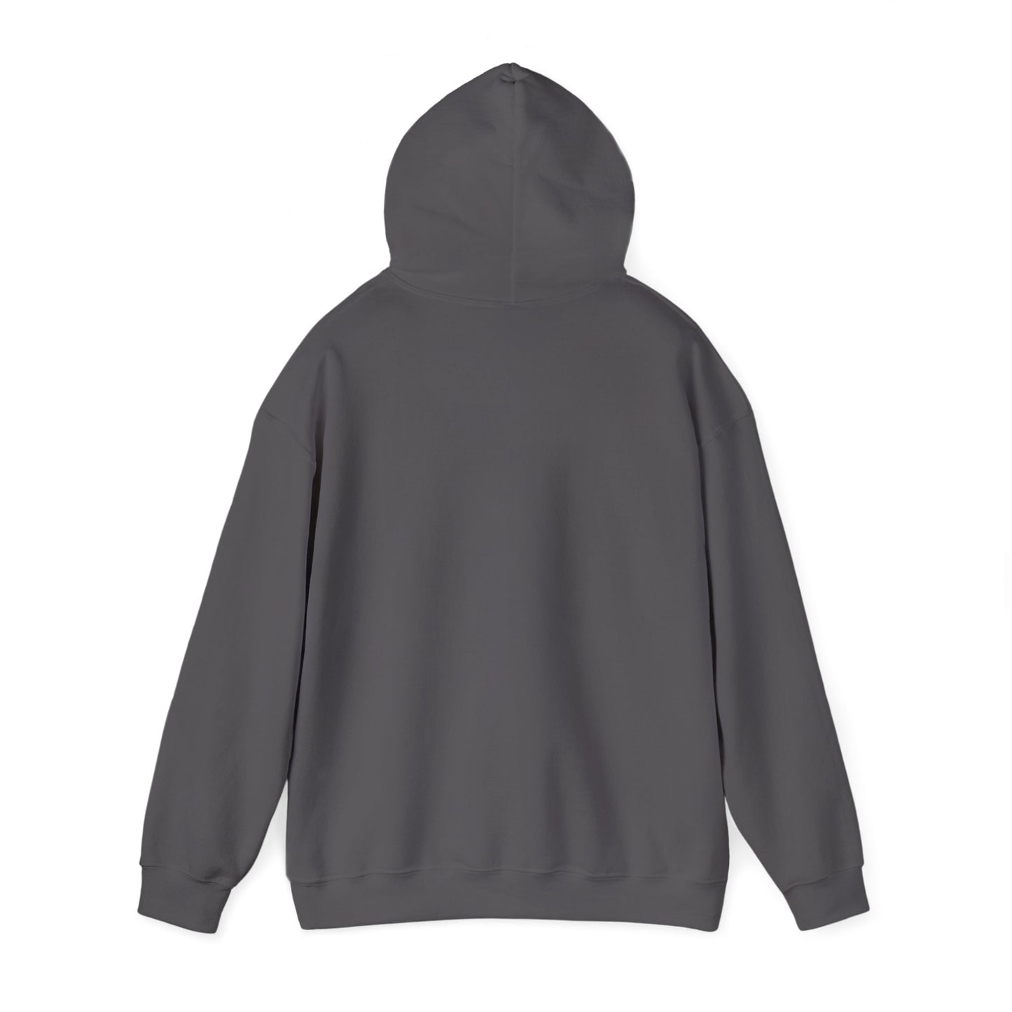 Anime Hoodie 1a